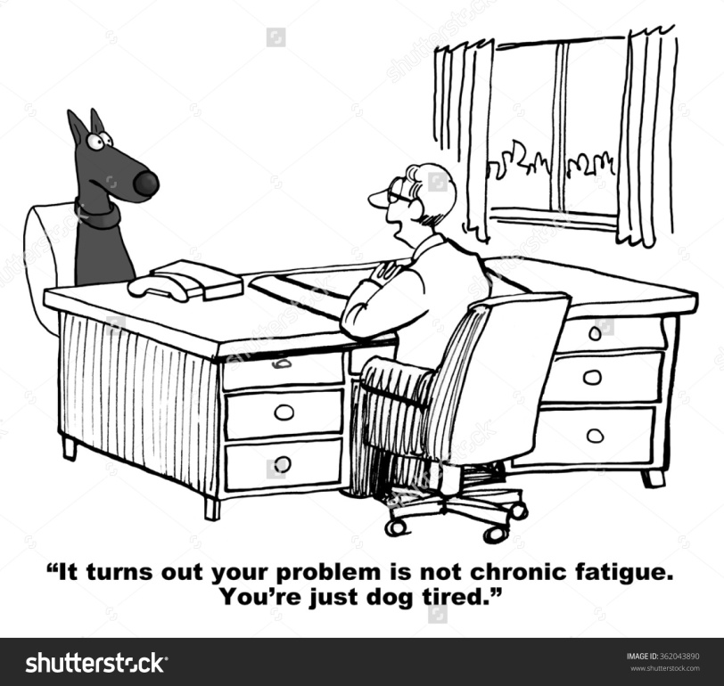 stock-photo-veterinary-cartoon-about-a-dog-the-diagnosis-is-not-chronic-fatigue-rather-the-dog-is-just-dog-362043890